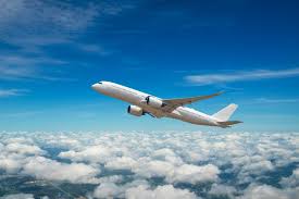 Domestic_Flight